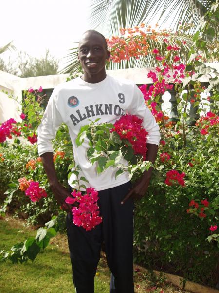 cheikh diop