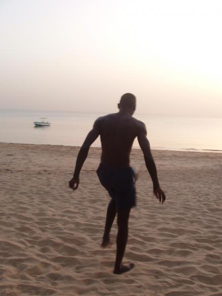 cheikh diop