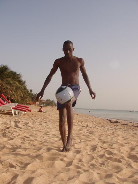 cheikh diop